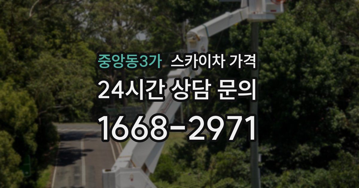 중앙동3가 스카이차 가격