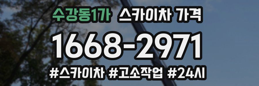 수강동1가 스카이차 가격