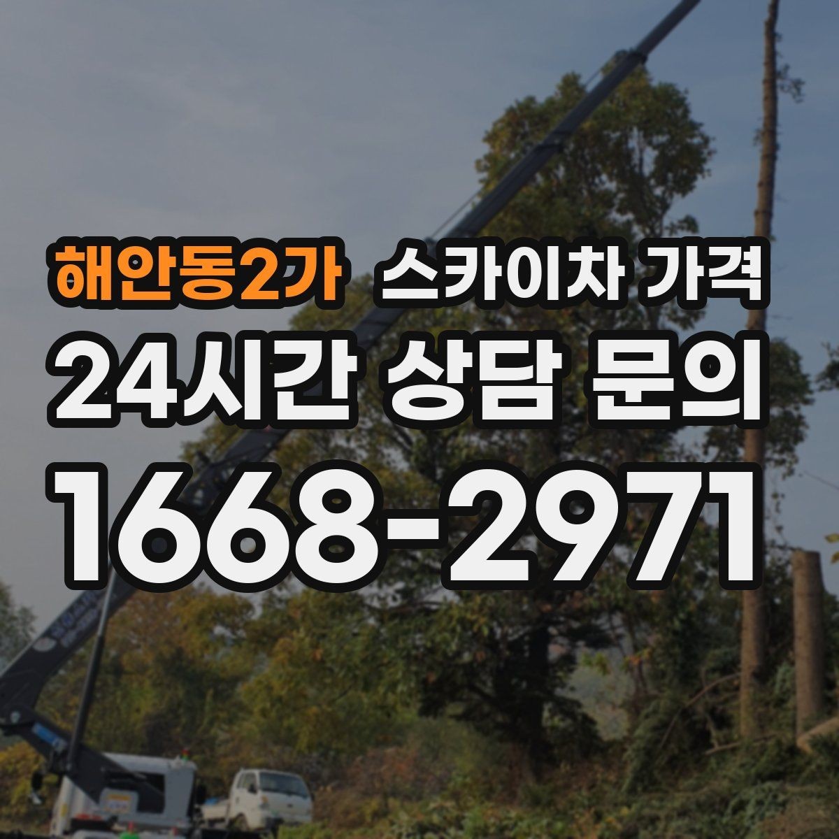 해안동2가 스카이차 가격 유도원 배치가 필요한 상황 정리