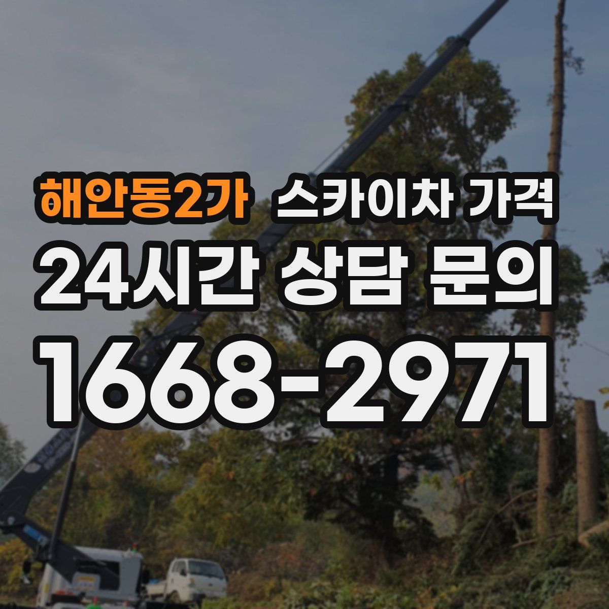 해안동2가 스카이차 가격