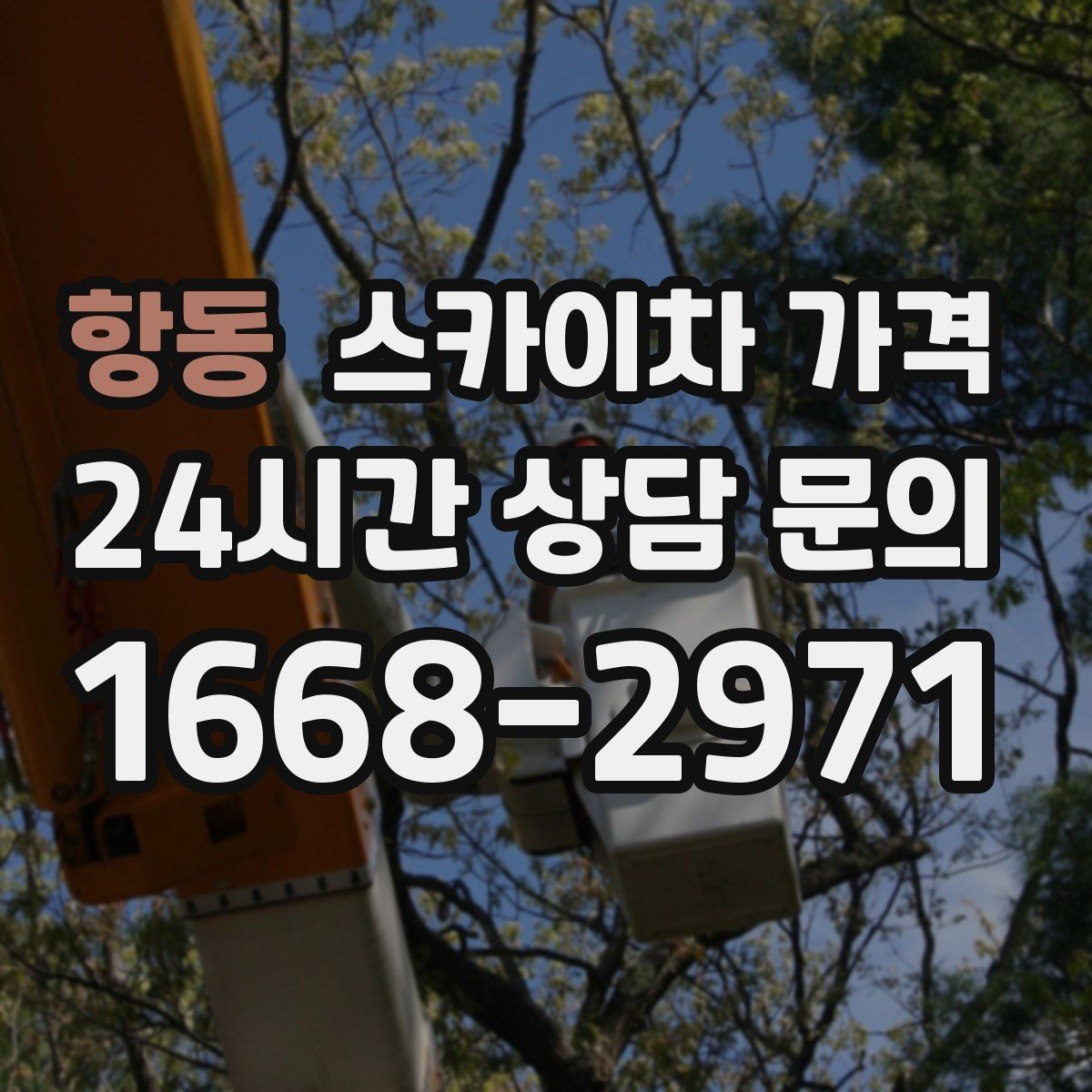 항동 스카이차 가격 작업 구간이 길면 왜 가격이 달라질까