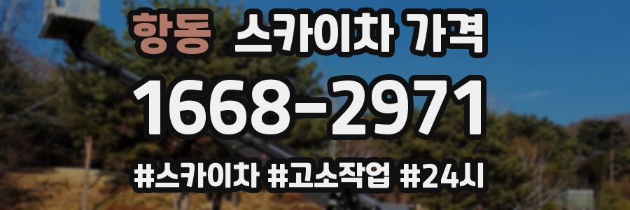 항동 스카이차 가격