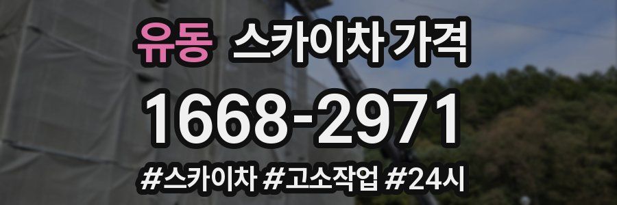 유동 스카이차 가격