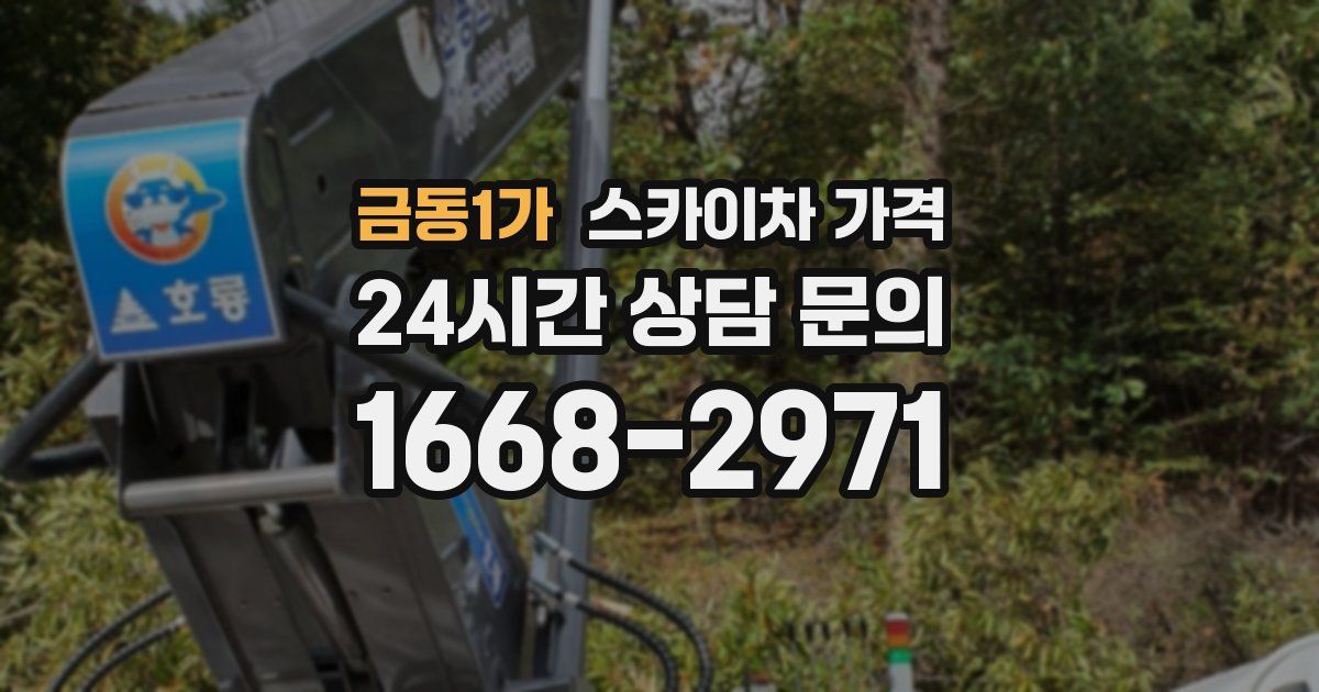 금동1가 스카이차 가격