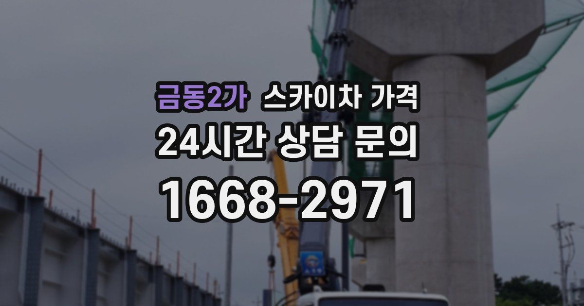 금동2가 스카이차 가격