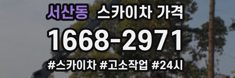 서산동 스카이차 가격