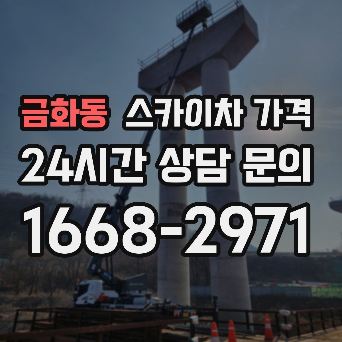 금화동 스카이차 가격 나무 가지치기 작업은 어떤 기준으로 볼까