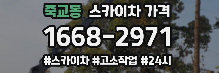 죽교동 스카이차 가격