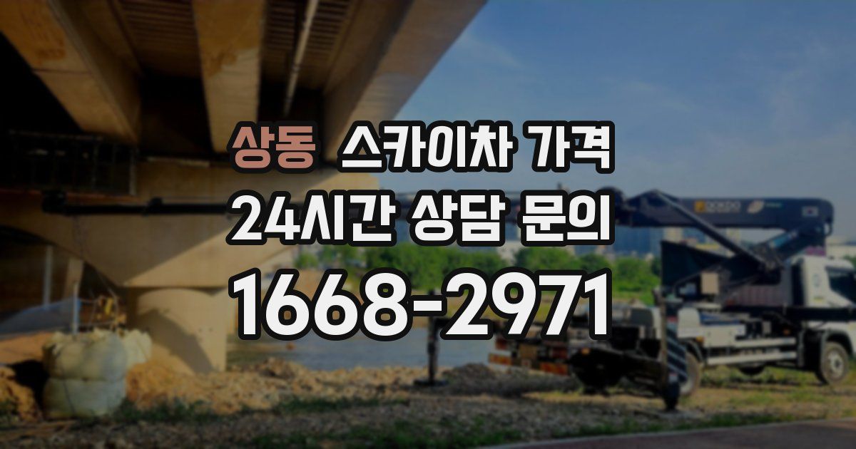 상동 스카이차 가격