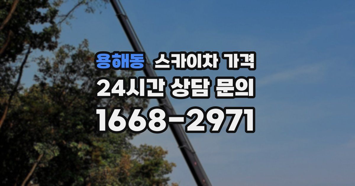 용해동 스카이차 가격