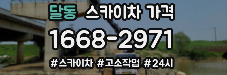 달동 스카이차 가격