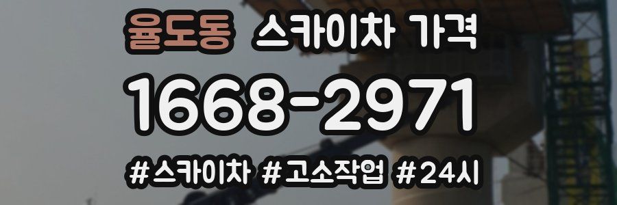 율도동 스카이차 가격