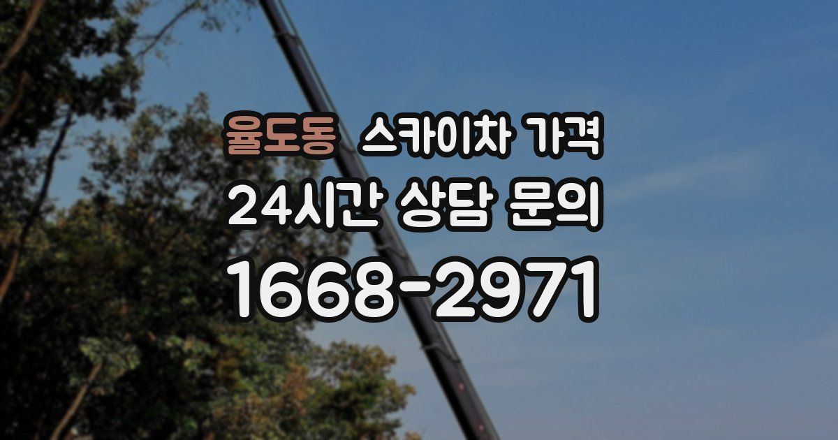 율도동 스카이차 가격