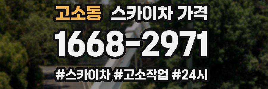 고소동 스카이차 가격