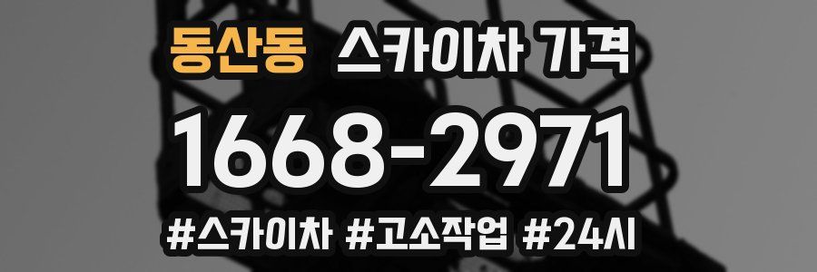 동산동 스카이차 가격