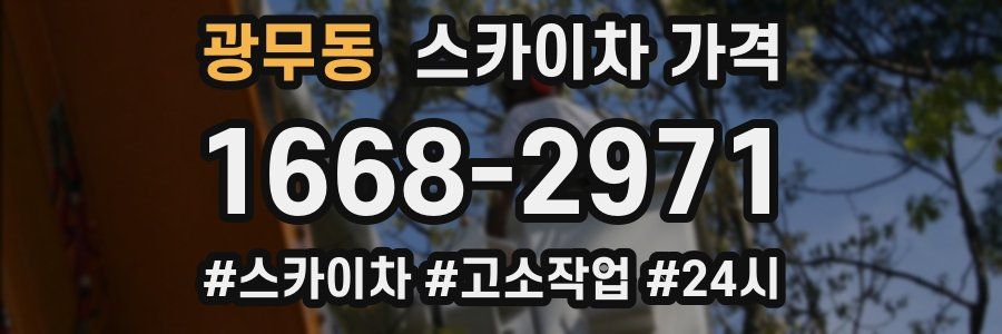 광무동 스카이차 가격