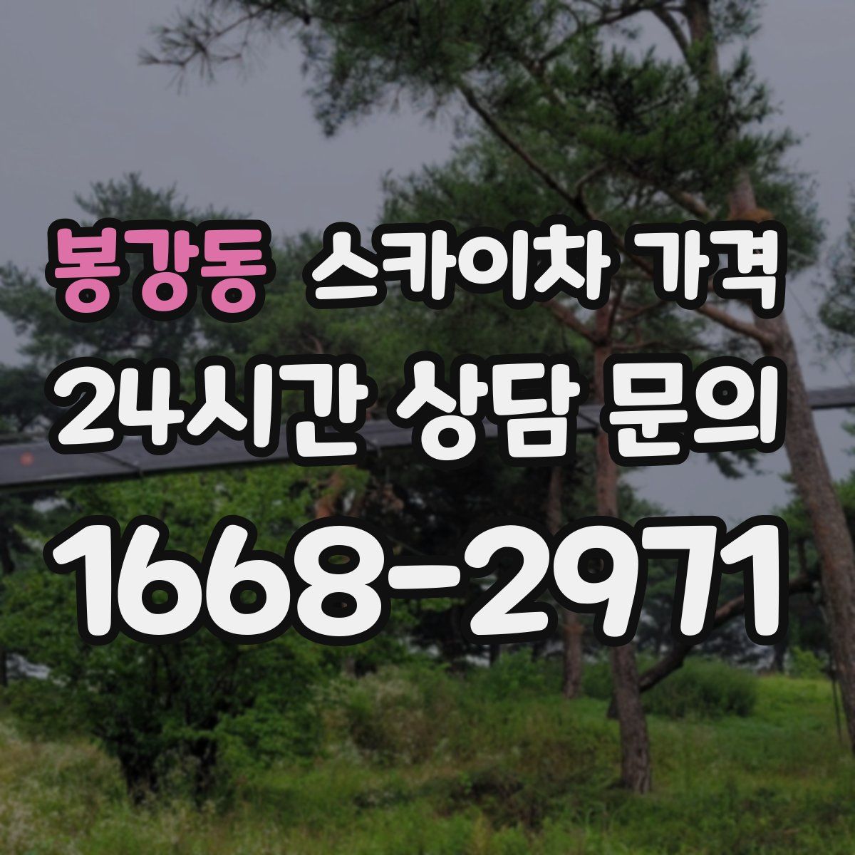 봉강동 스카이차 가격