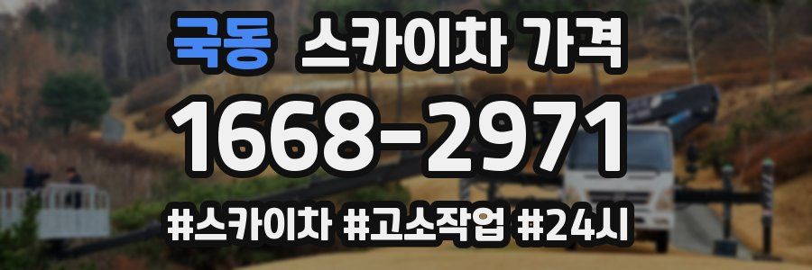 국동 스카이차 가격