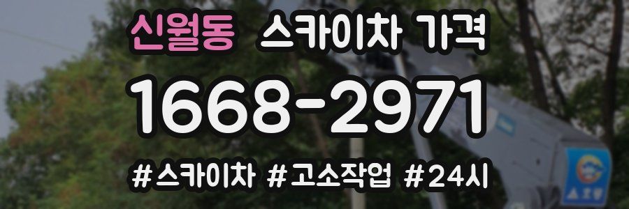 신월동 스카이차 가격