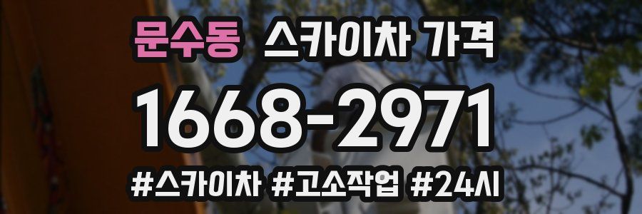 문수동 스카이차 가격