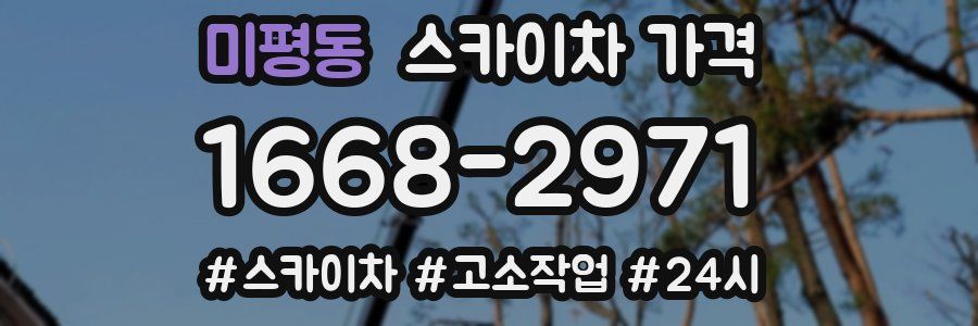 미평동 스카이차 가격