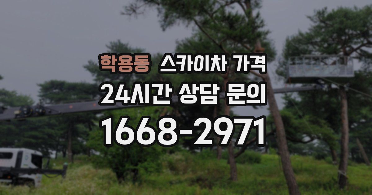 학용동 스카이차 가격