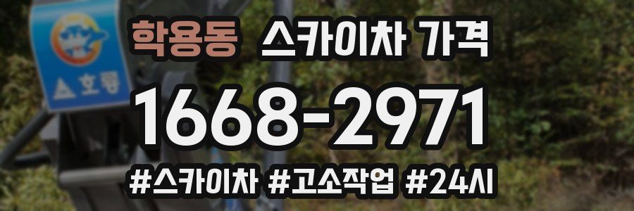 학용동 스카이차 가격