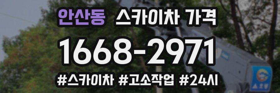 안산동 스카이차 가격