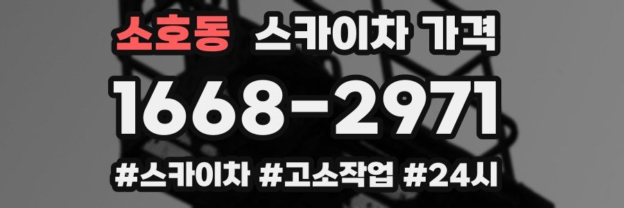 소호동 스카이차 가격