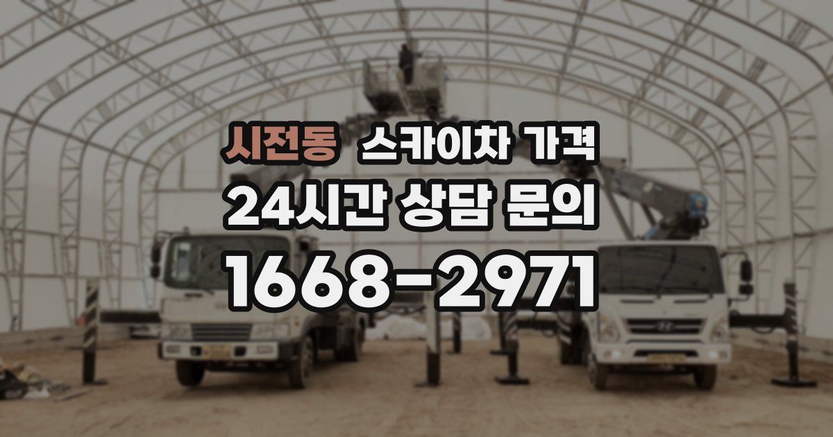시전동 스카이차 가격