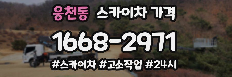 웅천동 스카이차 가격