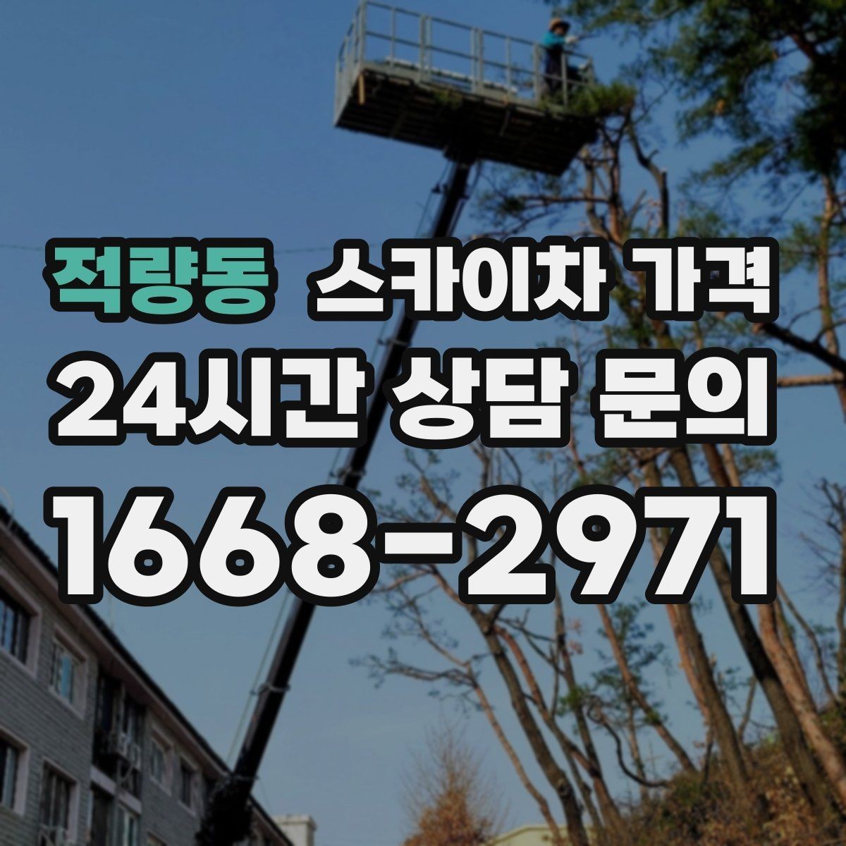 적량동 스카이차 가격 간판 조명 모듈 교체가 포함되면 달라질까