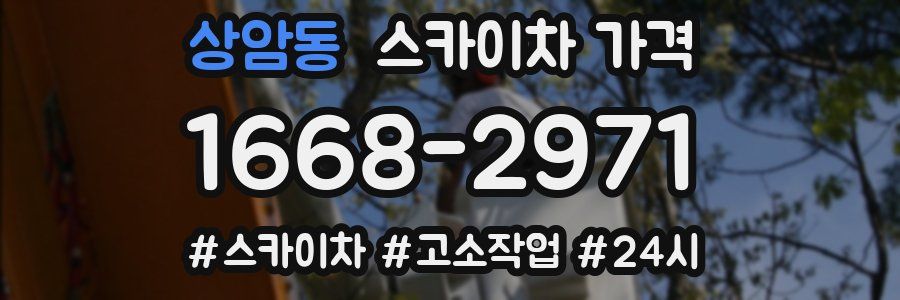 상암동 스카이차 가격