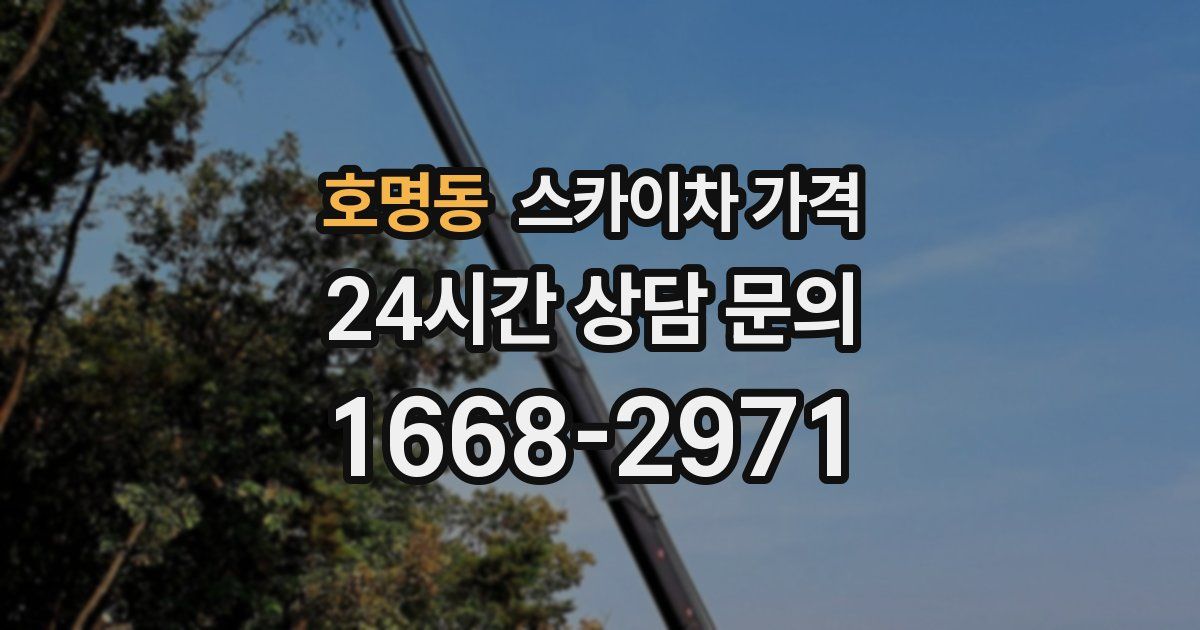 호명동 스카이차 가격