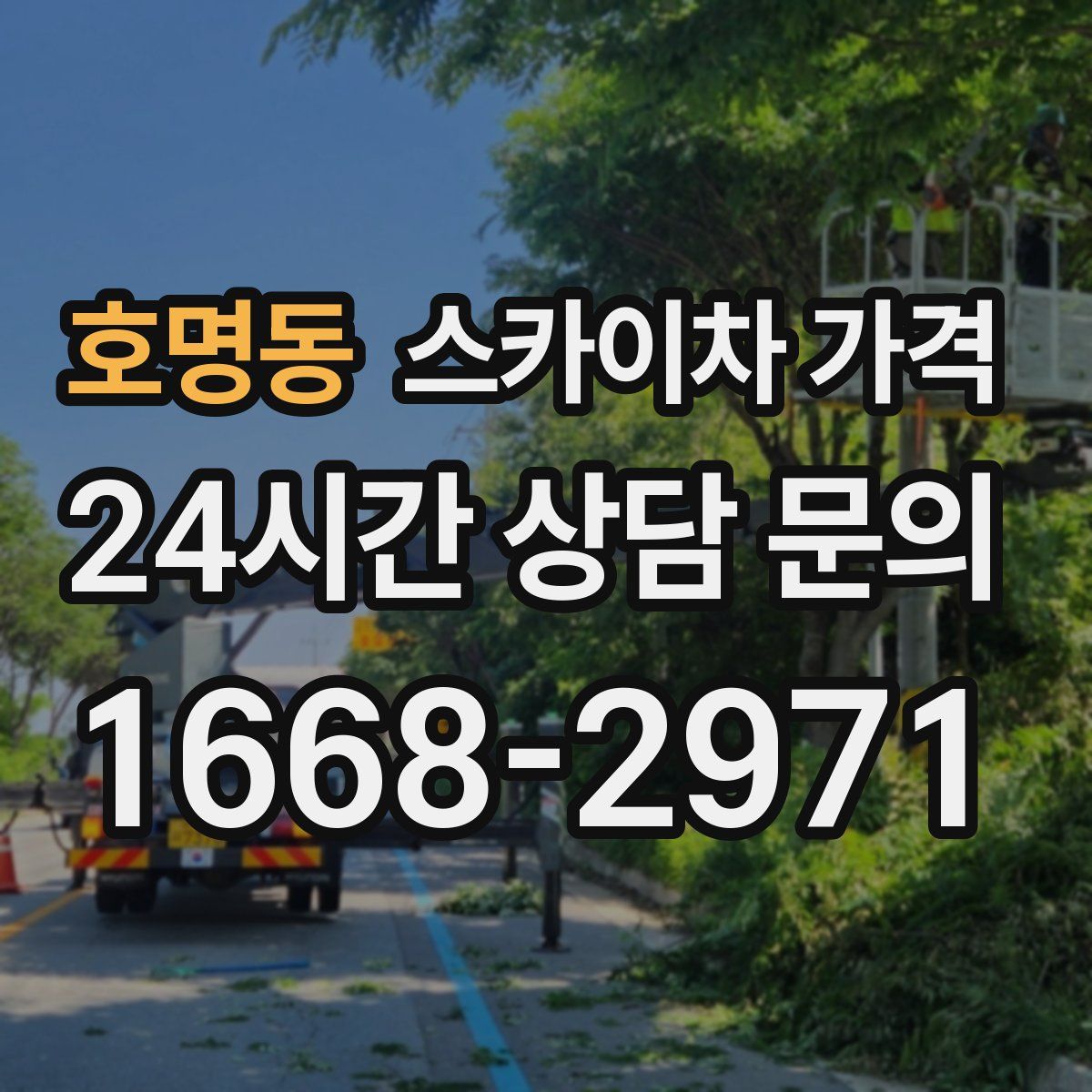 호명동 스카이차 가격