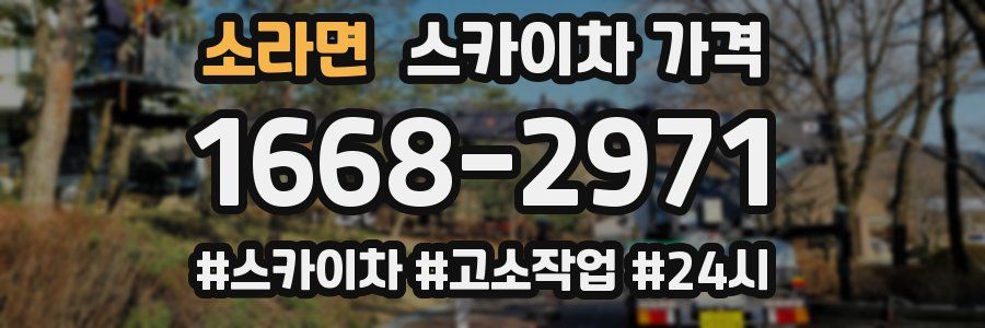 소라면 스카이차 가격