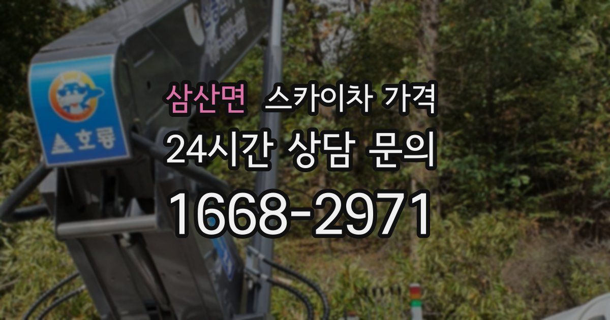 삼산면 스카이차 가격