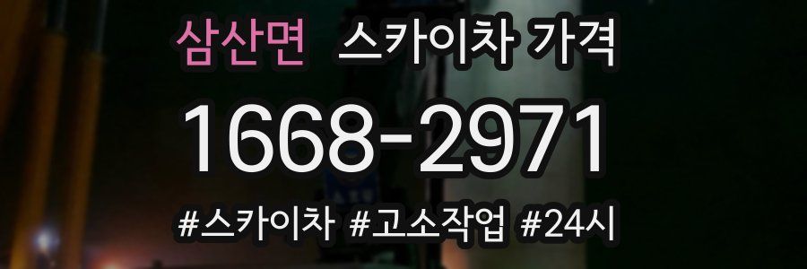 삼산면 스카이차 가격