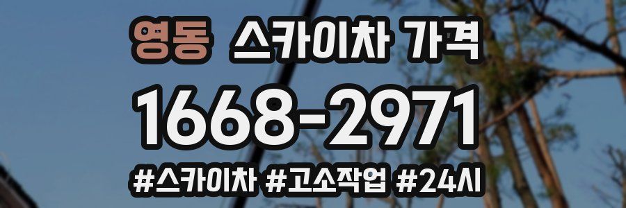 영동 스카이차 가격