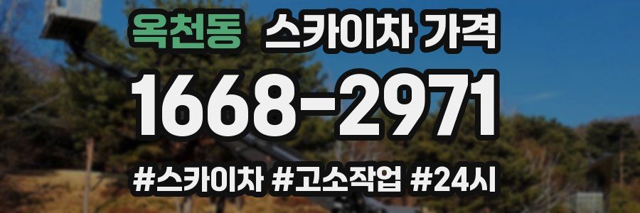 옥천동 스카이차 가격