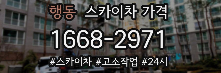 행동 스카이차 가격