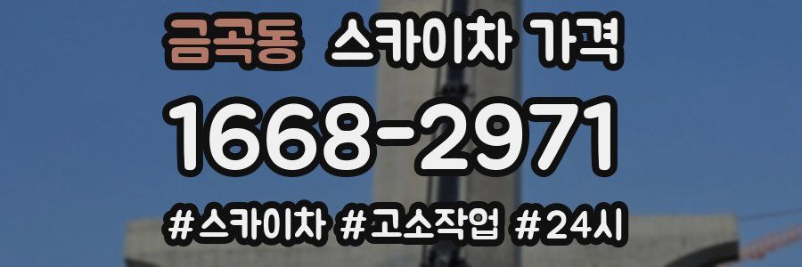 금곡동 스카이차 가격