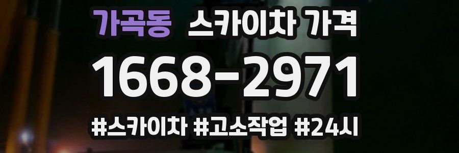 가곡동 스카이차 가격