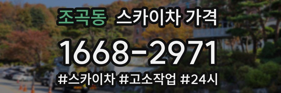 조곡동 스카이차 가격