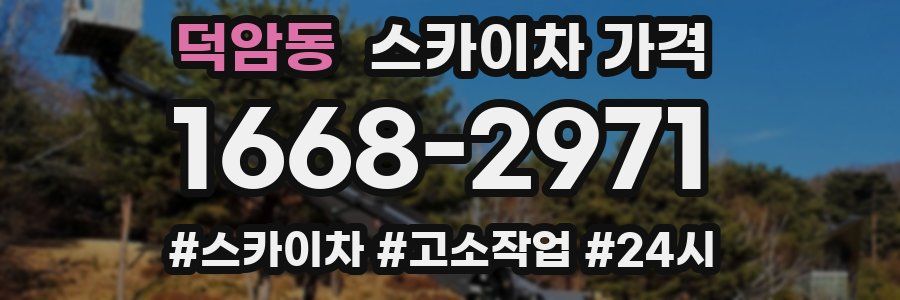 덕암동 스카이차 가격