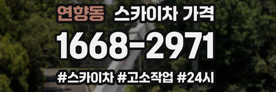 연향동 스카이차 가격