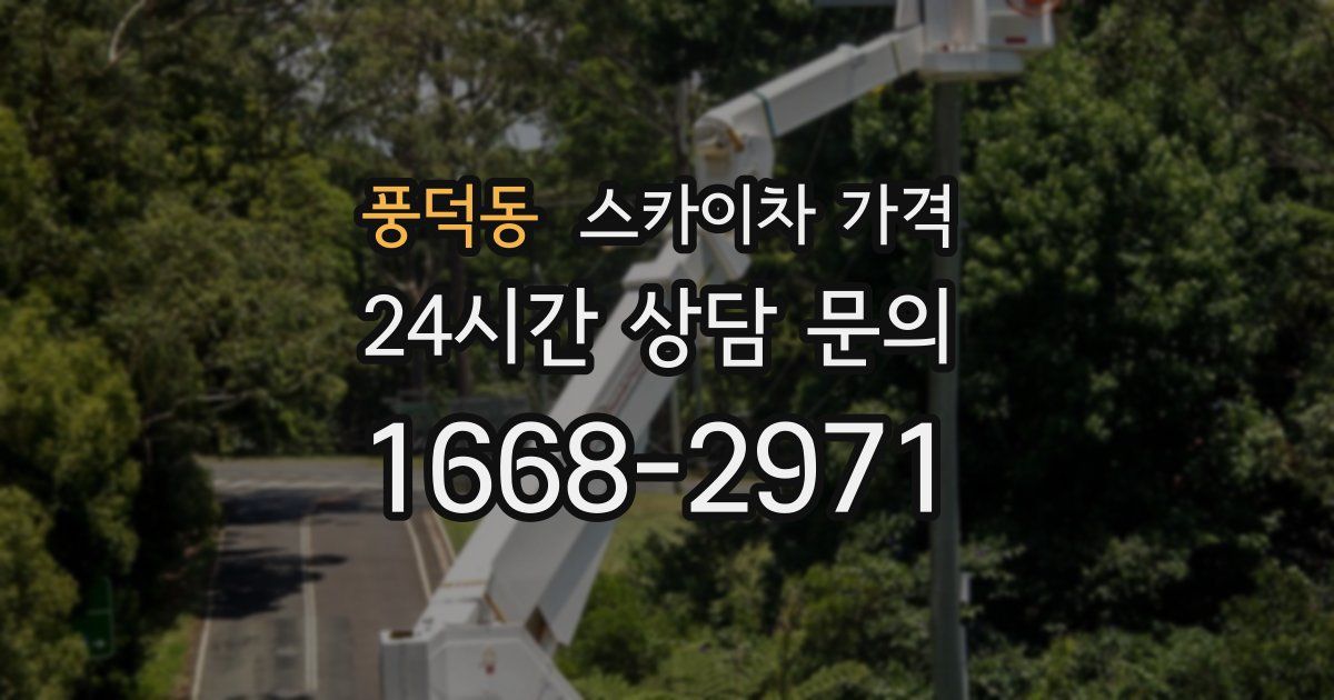 풍덕동 스카이차 가격