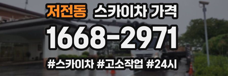 저전동 스카이차 가격