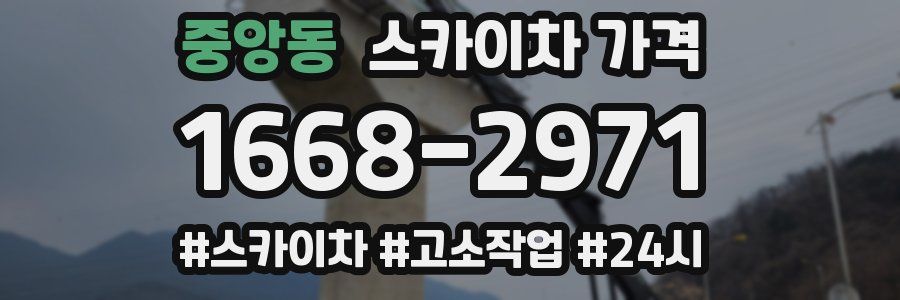 중앙동 스카이차 가격