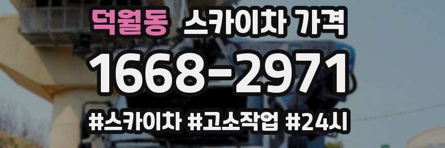 덕월동 스카이차 가격